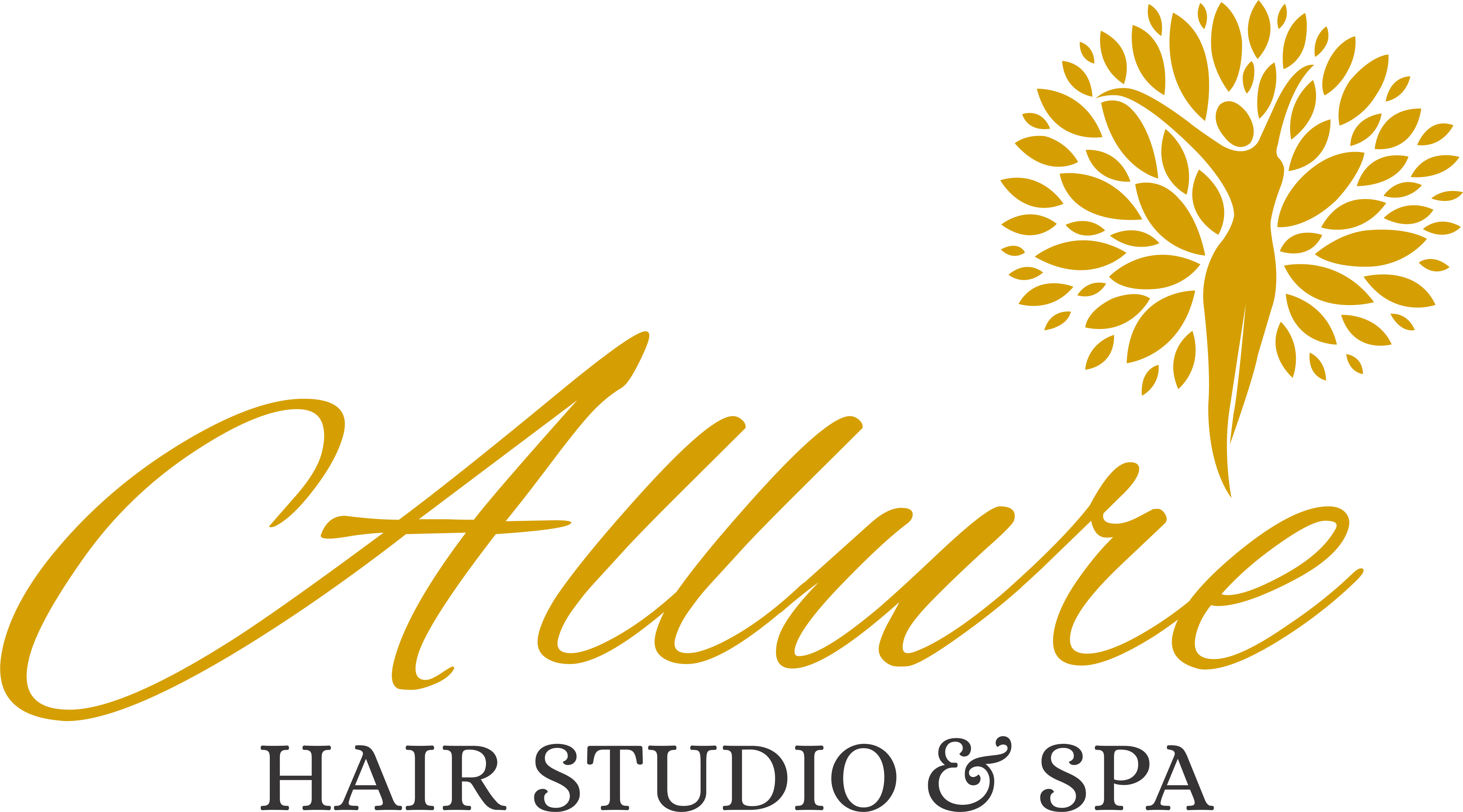 Allure Hair Salon & Spa Logo